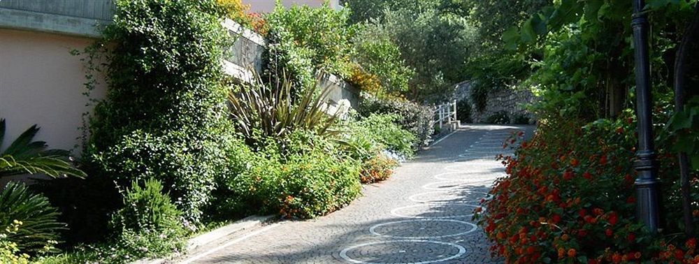 Hotel Martino Maratea Dış mekan fotoğraf